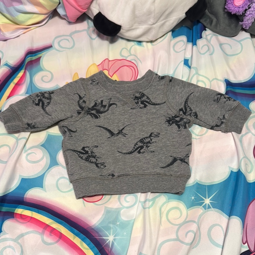 Dinosaur Baby Sweatshirt